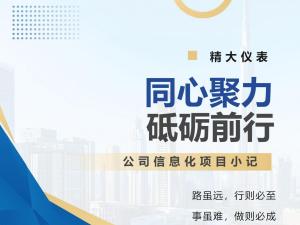 同心聚力 砥礪前行——公司信息化項目小記 同心聚力 砥礪前行——公司信息化項目小記